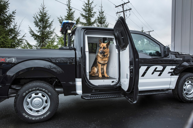 Illustration for article titled Does It Get More 'America' Than A Pickup Truck Police Car?